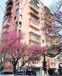 თბილისი/ვაკე/